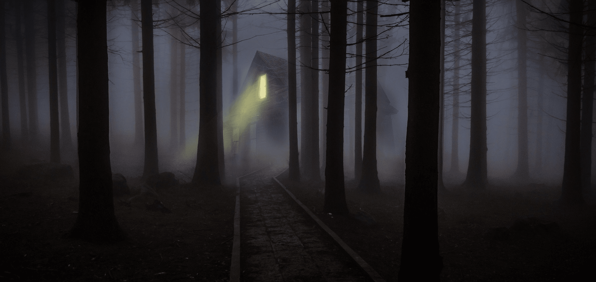 House in a foggy forest at night