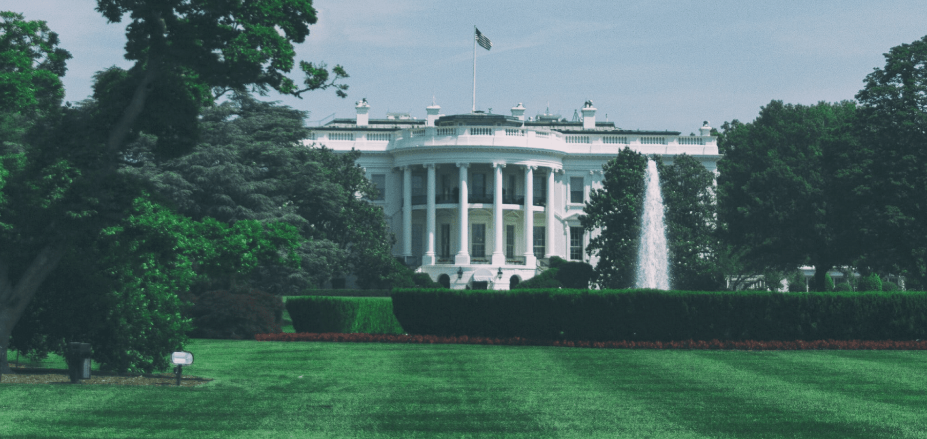 White House with Green Trees
