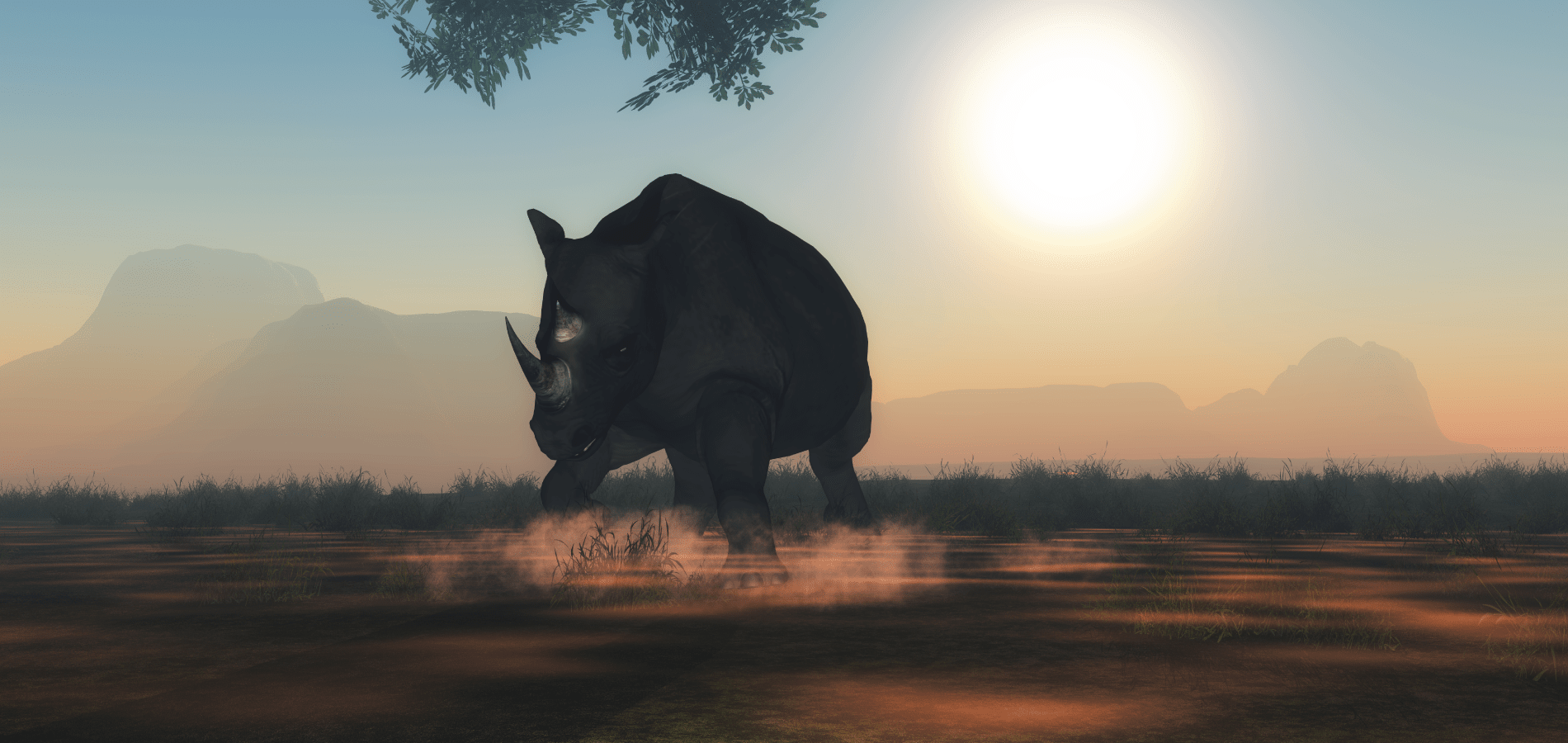 Rhinoceros in grass