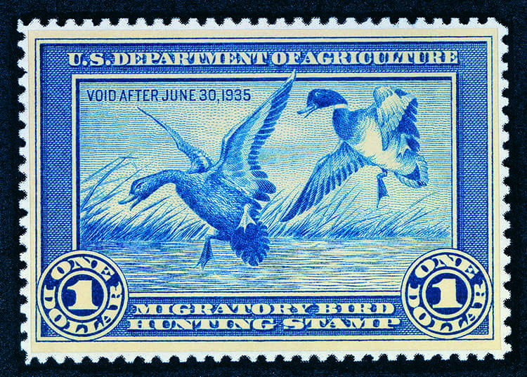 United States Migration Bird Hunting Stamp