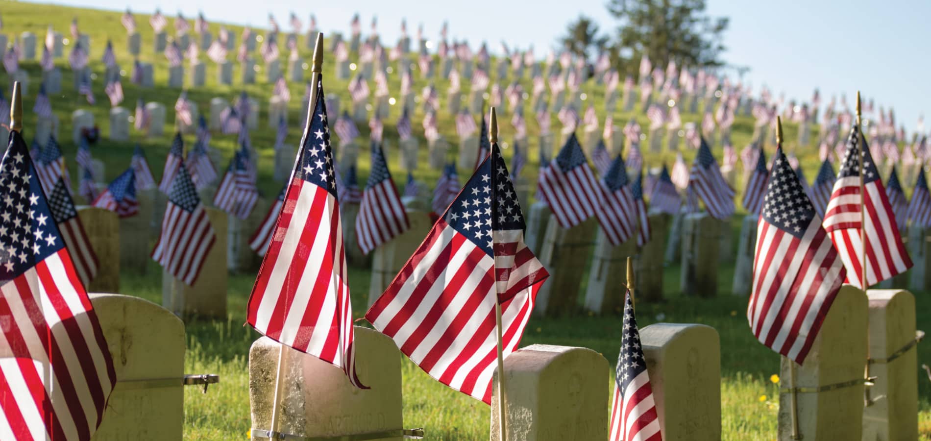 American flags at a cemetery