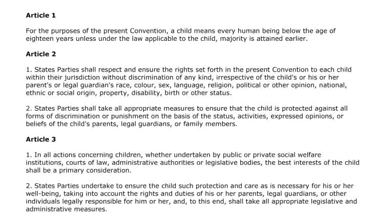 Screenshot of the Rights of the Child