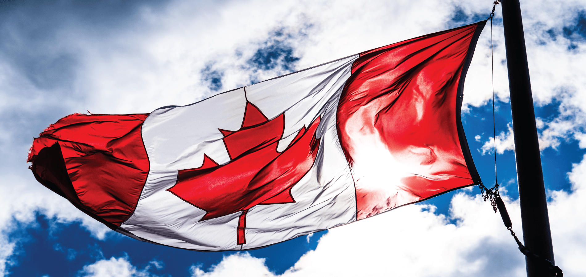 Picture of a Canadian flag