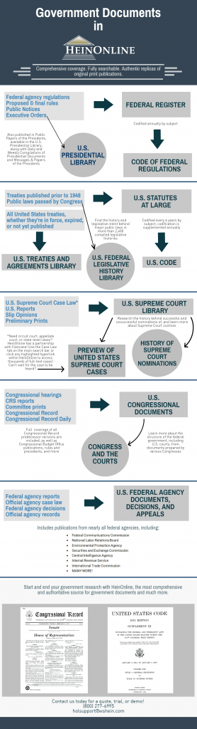 Government Document Infographic