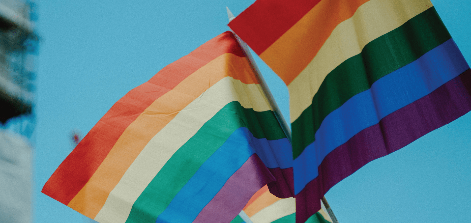 image of LGBTQ+ pride flags