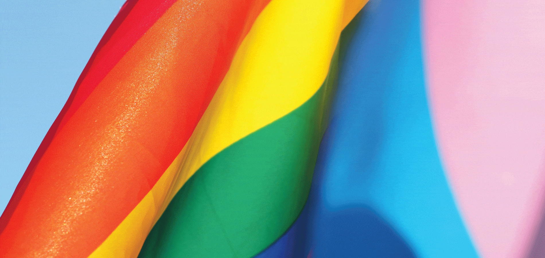 pride and transgender flag