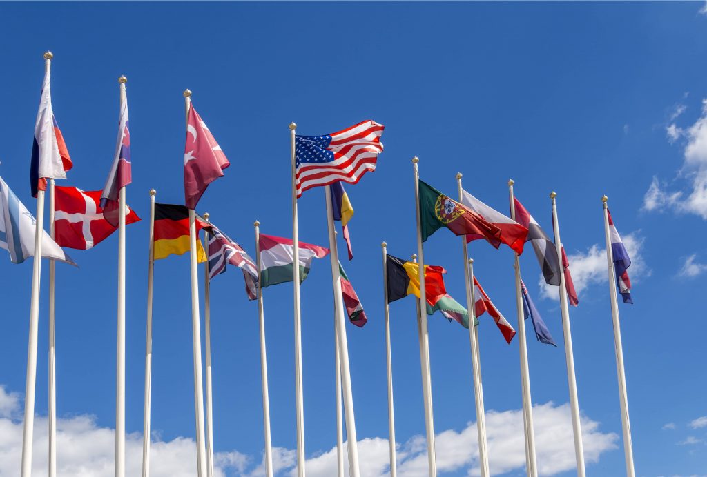image of the U.S. State flags and other foreign governments