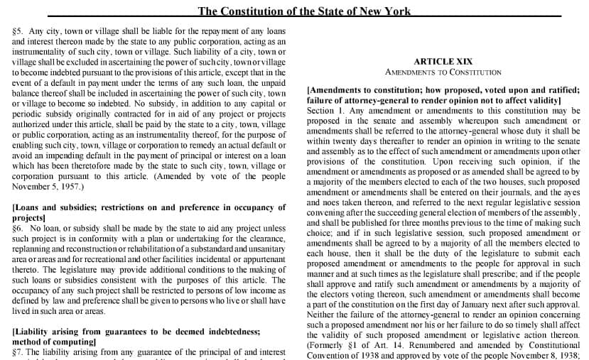 This image includes text from the New York State Constitution at Article XIX, Amendments to the Constitution.