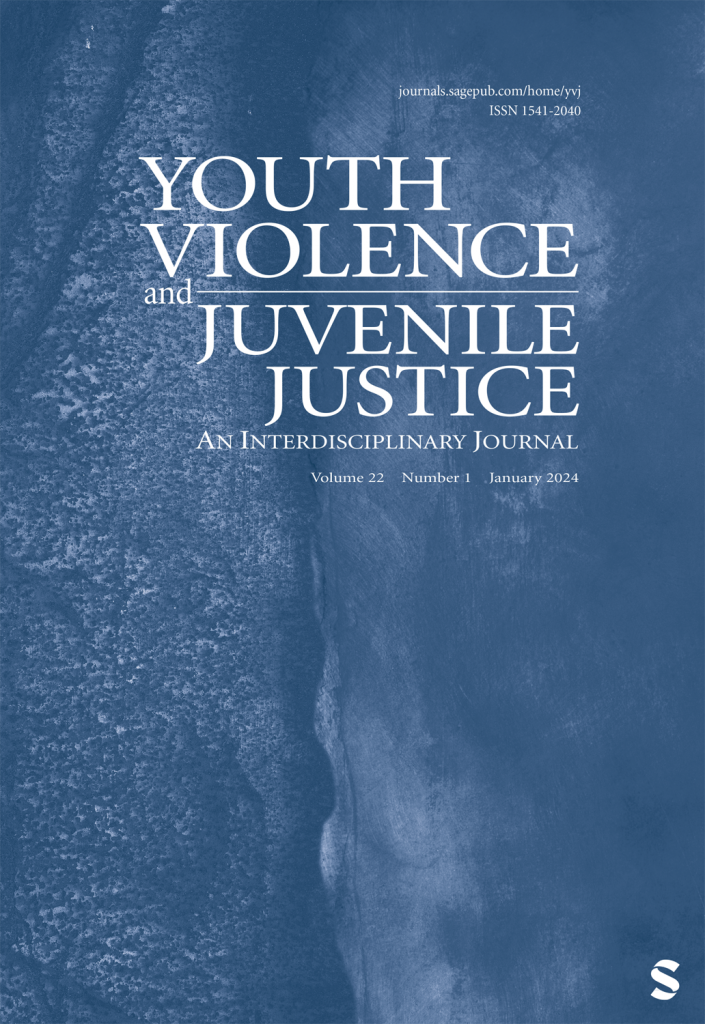 Youth Violence and Juvenile Justice cover