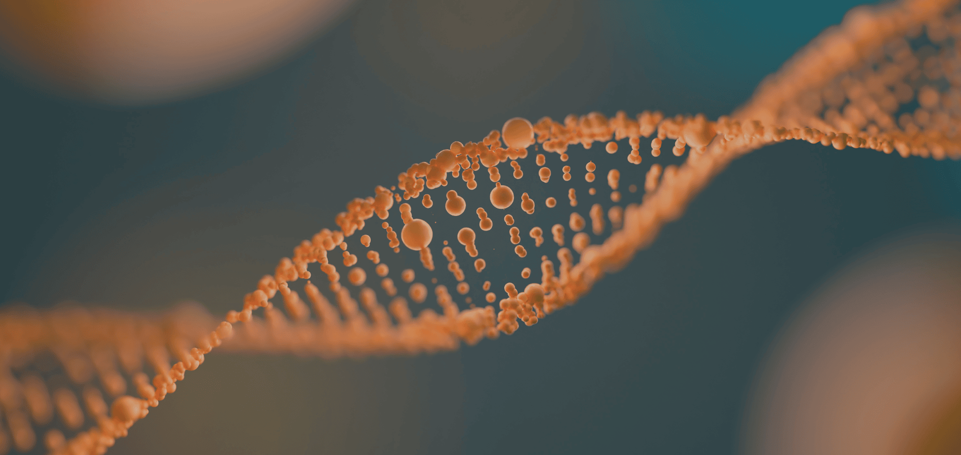 3d rendering of DNA