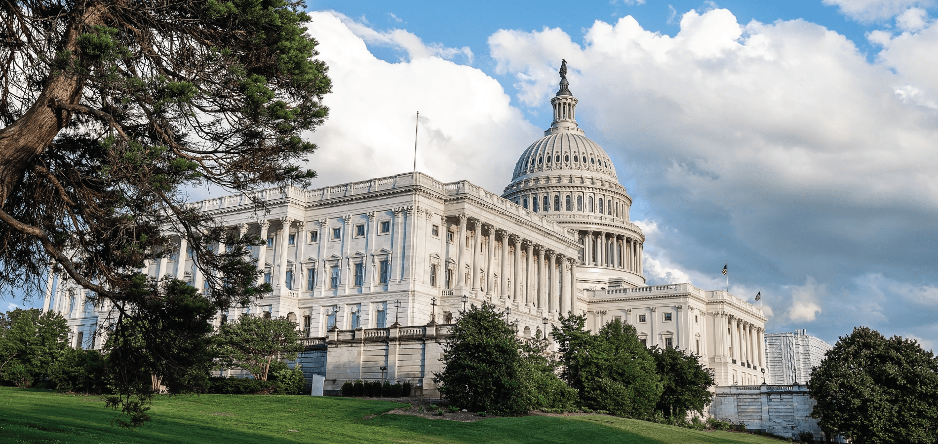 photo of the White House