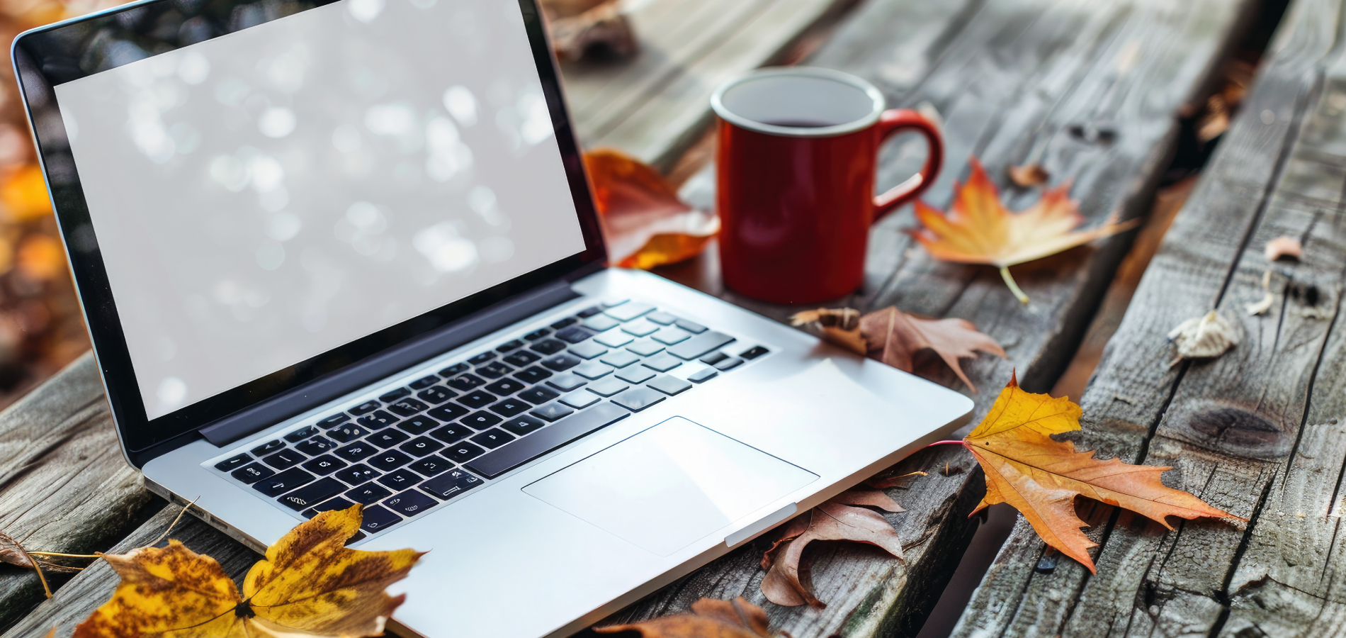 image of a laptop on a table with leaves and a red coffee cup